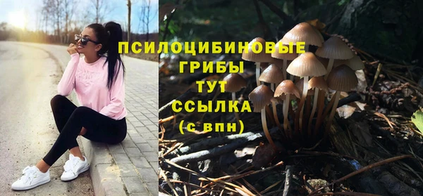 тгк Беломорск