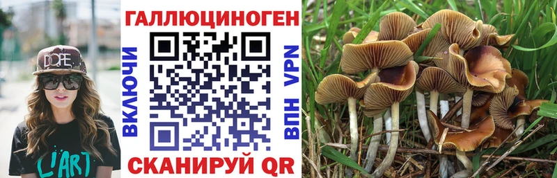 как найти наркотики  Малмыж  mega как зайти  Псилоцибиновые грибы Magic Shrooms 